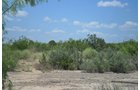 Property photo 27 - Bank Owned Real Estate Auction - McAllen